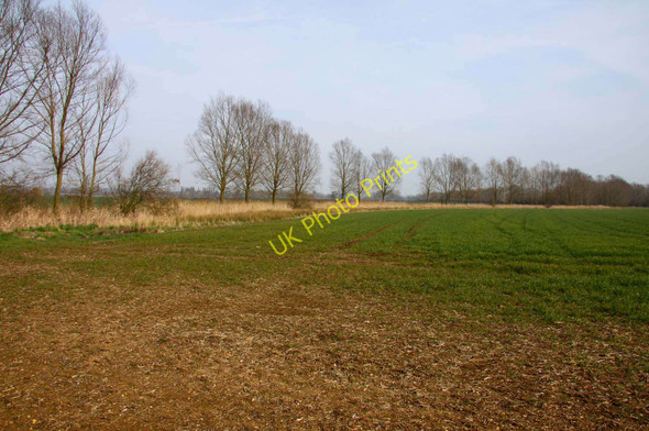 Photo 6"x4" Field by Clifton Hampden Appleford c2011