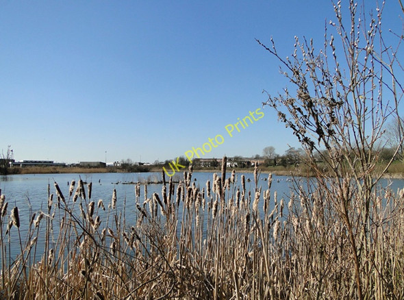 Photo 6"x4" Lake on Normanston Park, Oulton Broad Lowestoft c2011