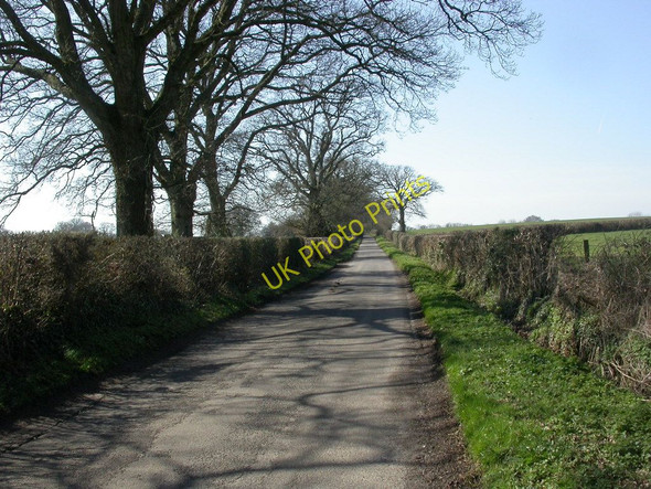 Photo 6"x4" Broom Hill, Long Lane Wimborne Minster c2011