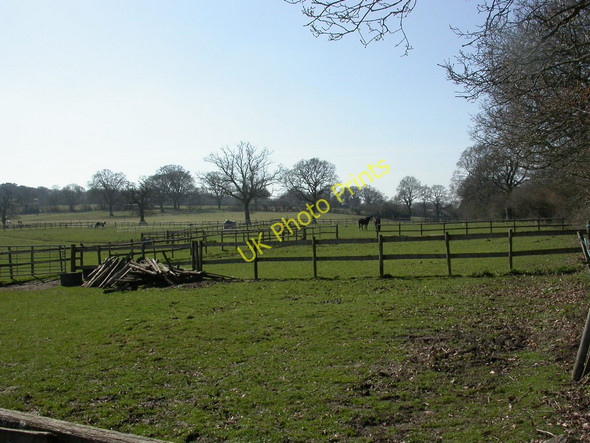 Photo 6"x4" Broom Hill, paddocks Wimborne Minster c2011