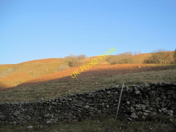 Photo 6"x4" Fellside, Barbondale Barkin Beck c2011