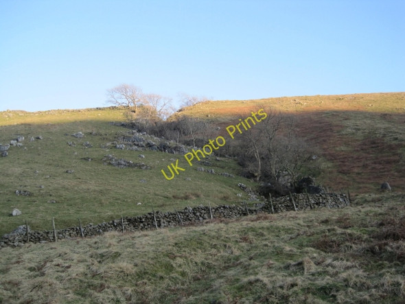 Photo 6"x4" Short Gill Barkin Beck c2011