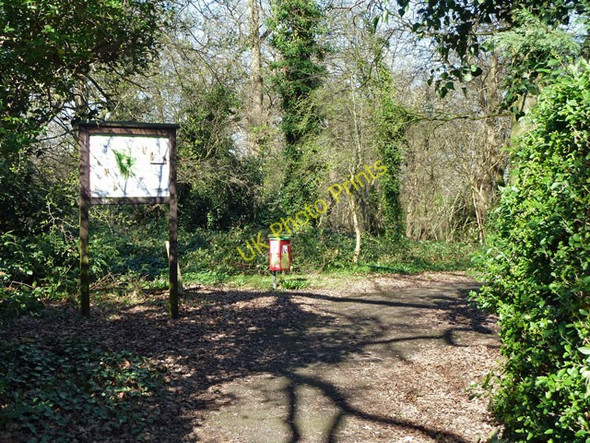 Photo 6"x4" Little Wood, south entrance Finchley c2011