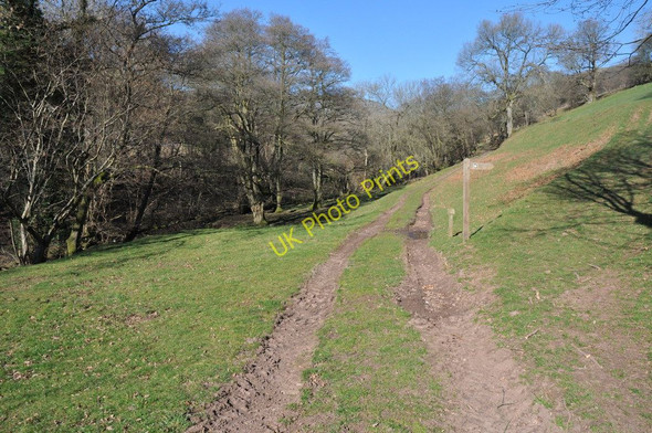 Photo 6"x4" Footpath in Cwm Banw Llanbedr\/SO2320 c2011