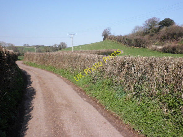Photo 6"x4" Country lane, near Sampford Brett Lower Weacombe c2011
