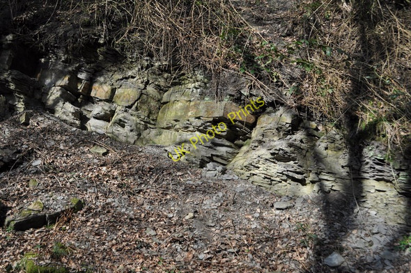 Photo 6"x4" Duckmanton Railway Cutting - Sandstones Arkwright Town c2011