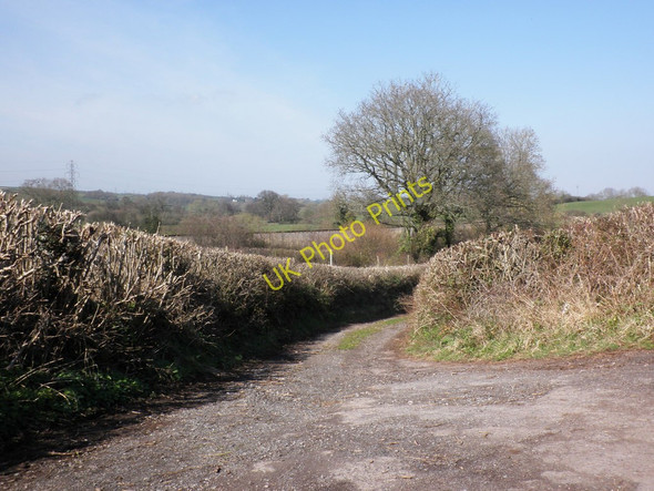 Photo 6"x4" Farm track, near Bicknoller Newton\/ST1038 c2011
