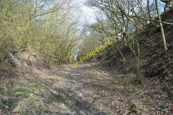 Photo 6"x4" Duckmanton Railway Cutting - Eastern Side Arkwright Town c2011
