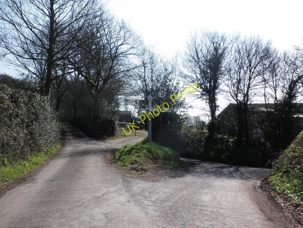 Photo 6"x4" Turning for Kingswood Newton\/ST1038 c2011