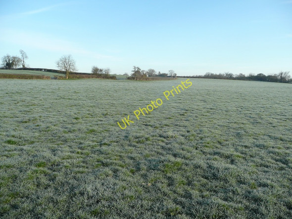 Photo 6"x4" Coombe Hill Meadows The Leigh c2011