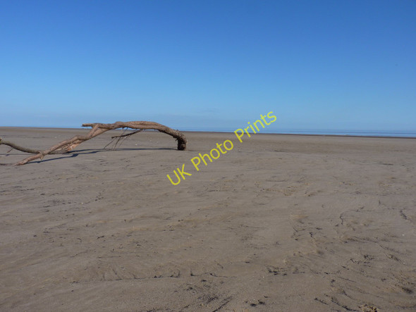 Photo 6"x4" Stranded tree on Theddlethorpe beach North End\/TF4987 c2011