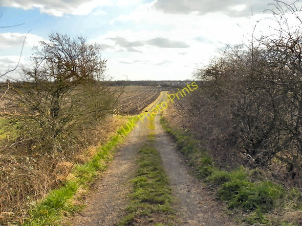 Photo 6"x4" Bedford Moss Tyldesley c2011
