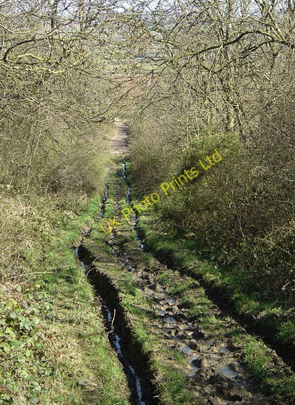 Photo 6"x4" Bridleway on Hotchley Hill Bunny Hill\/SK5728 c2008