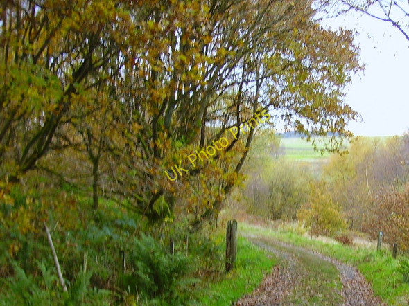 Photo 6"x4" Longworth Lane Cox Green\/SD7114 c2010