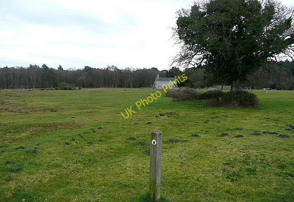 Photo 6"x4" Towards Newton Bushey\/SY9883 c2011