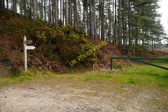 Photo 6"x4" Footpath to Ower Farm Bushey\/SY9883 c2011