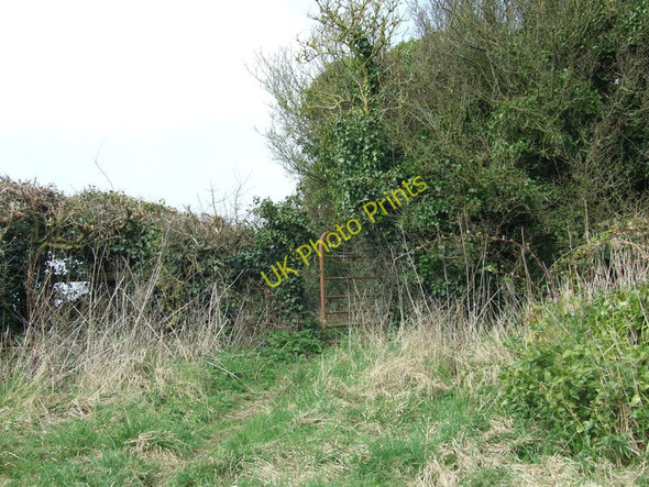 Photo 6"x4" Cheselbourne Footpath Gate Cheselbourne c2011