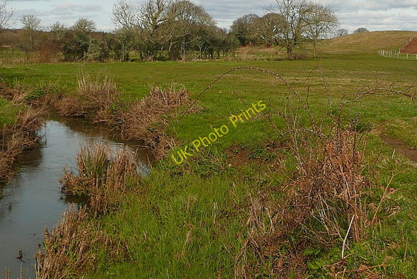 Photo 6"x4" Corfe River Bushey\/SY9883 c2011