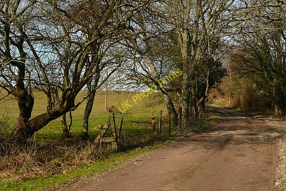 Photo 6"x4" Track to Vitower House Arne c2011