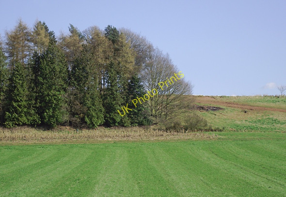Photo 6"x4" Farmland and woodland south of Beckbury, Shropshire Badger c2011