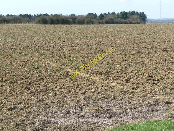 Photo 6"x4" Almost bare field, with woodland beyond Sewstern c2011