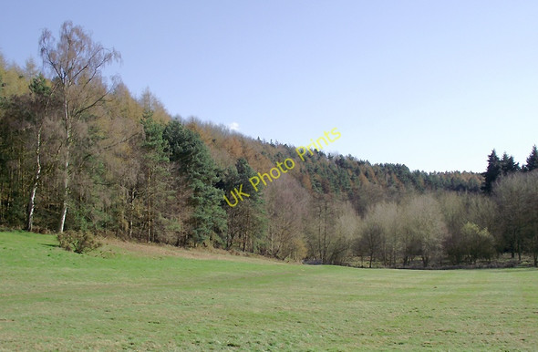 Photo 6"x4" Grassland and woodland near Badger, Shropshire Badger c2011