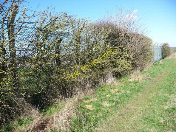 Photo 6"x4" Softened by shrubs Thistleton\/SK9117 c2011