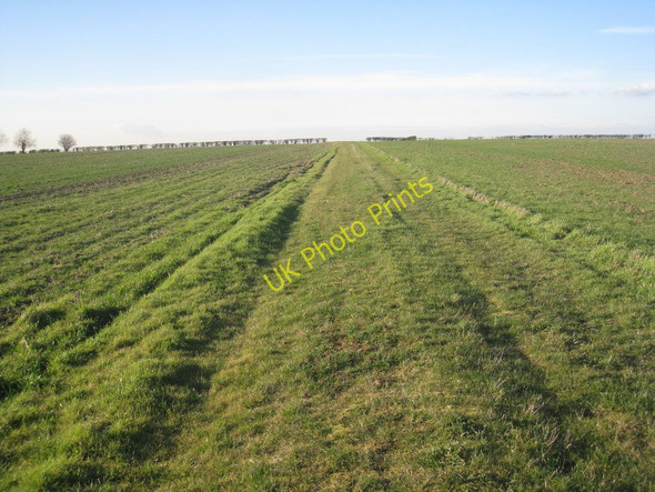 Photo 6"x4" Track through the fields Hemswell c2011