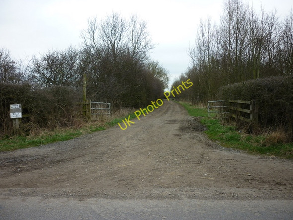 Photo 6"x4" A footpath towards Stittenham Wood Sheriff Hutton c2011