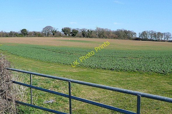 Photo 6"x4" Farmland off Sparsholt Road Standon\/SU4226 c2011