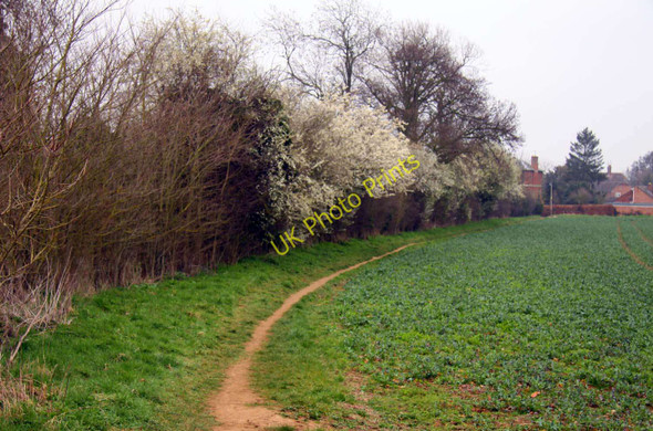 Photo 6"x4" Footpath to Oxford Road Clifton Hampden c2011