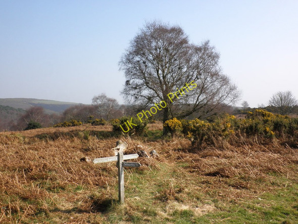 Photo 6"x4" Footpath junction, near Selworthy Beacon Allerford\/SS9047 c2011
