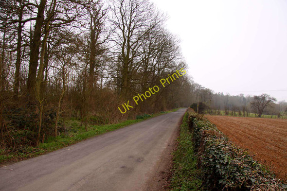 Photo 6"x4" Road to Nuneham House Lower Radley c2011