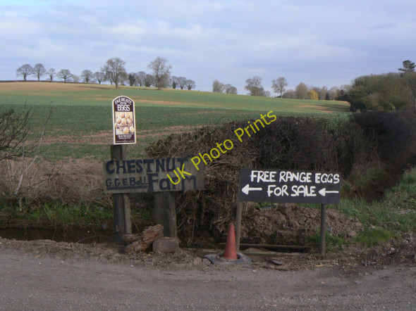 Photo 6"x4" Entrance to Chestnut Farm Epperstone c2011