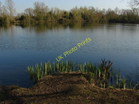 Photo 6"x4" Shepperton gravel pits Chertsey c2011
