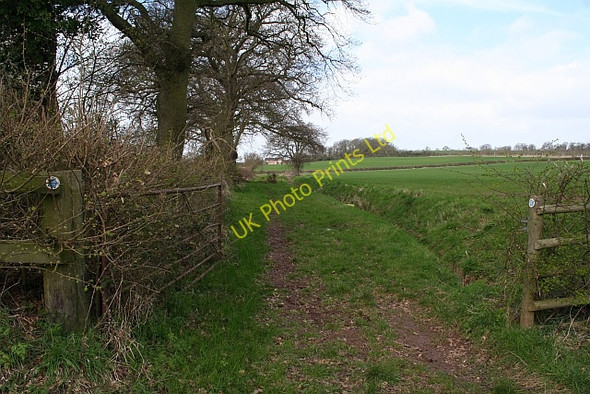 Photo 6"x4" Bridleway to Swinley Court Chaceley Hole c2008