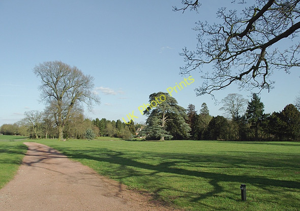 Photo 6"x4" Driveway to Badger Hall, Shropshire Badger c2011