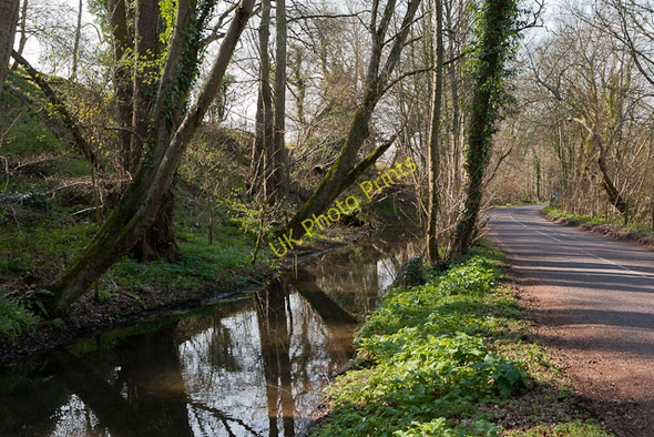 Photo 6"x4" Bank and Stream beside East Lane, Ovington Ovington\/SU5631 c2011