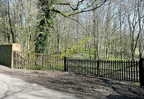 Photo 6"x4" Looking into Hursley estate Standon\/SU4226 c2011