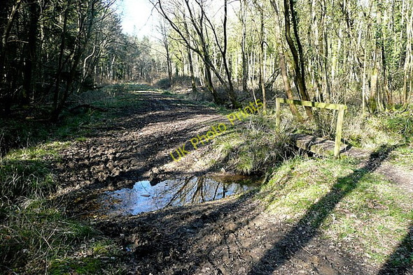Photo 6"x4" Footbridge in Ampfield Wood Ampfield c2011
