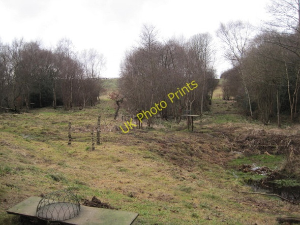 Photo 6"x4" Bird Feeding Station Thornley Woods Blaydon c2011