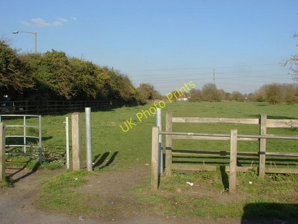 Photo 6"x4" Chertsey, Dumsey meadow Chertsey c2011