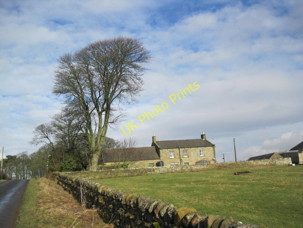 Photo 6"x4" Belsay Barns Wallridge c2011