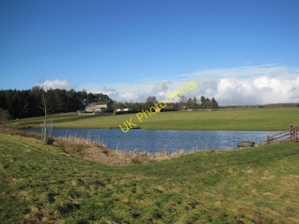 Photo 6"x4" Pond near The Byerley Stud Wallridge c2011