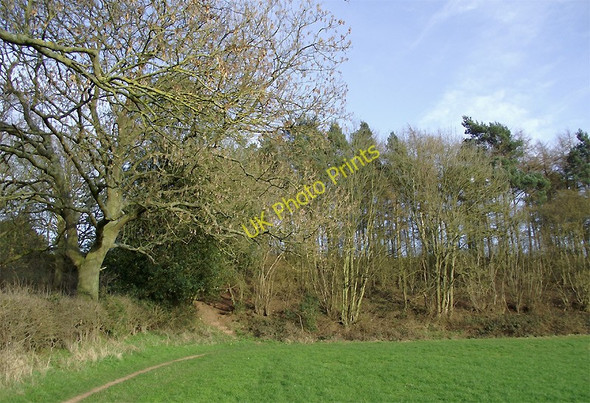 Photo 6"x4" Field and Woodland south of Beckbury, Shropshire Beckbury\/SJ7601 c2011