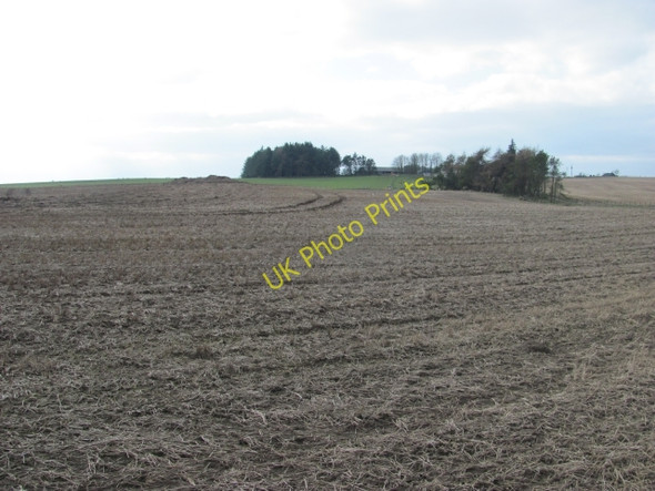 Photo 6"x4" Arable land, Cockrig Braehead\/NS9550 c2011