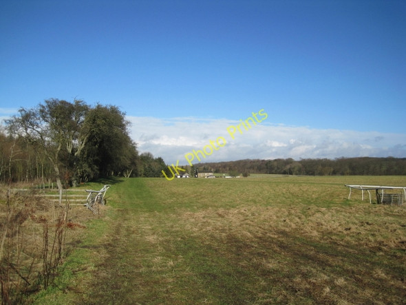Photo 6"x4" Footpath leading to Byerley Stud Wallridge c2011
