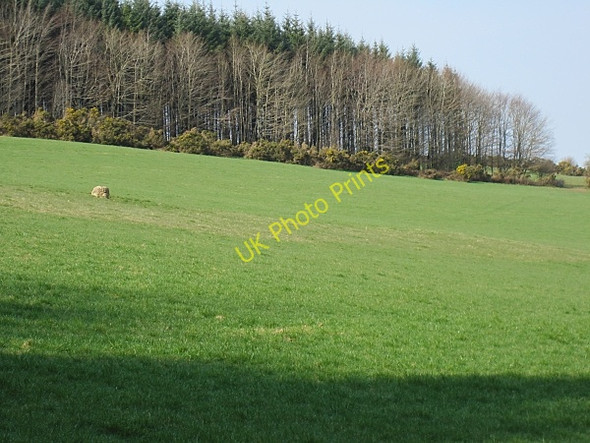 Photo 6"x4" Lone Boulder Inistioge c2011
