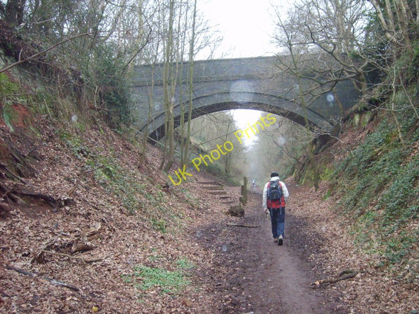 Photo 6"x4" Railway Path Himley c2011