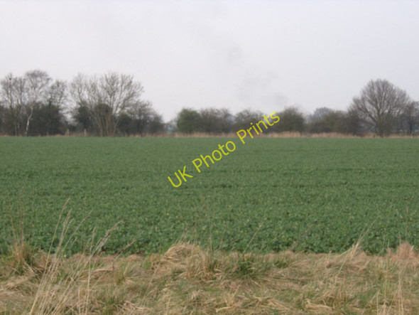 Photo 6"x4" Farmland, Eastrington Eastrington c2011